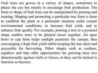 Fruit trees are grown in a variety of shapes, sometimes to
please the eye but mainly to encourage fruit production. The
form or shape of fruit trees can be manipulated by pruning and
training. Shaping and promoting a particular tree form is done
to establish the plant in a particular situation under certain
environmental conditions, to increase fruit yield, and to
enhance fruit quality. For example, pruning a tree to a pyramid
shape enables trees to be planted closer together. An open
bowl or cup form helps sunlight penetrate the canopy, thus
encouraging a high fruit yield whilst keeping the tree short and
accessible for harvesting. Other shapes such as cordons,
espaliers and fans offer opportunities for growing trees two
dimensionally against walls or fences, or they can be trained to
function as barriers.
 