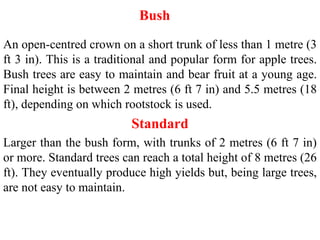 Bush
An open-centred crown on a short trunk of less than 1 metre (3
ft 3 in). This is a traditional and popular form for apple trees.
Bush trees are easy to maintain and bear fruit at a young age.
Final height is between 2 metres (6 ft 7 in) and 5.5 metres (18
ft), depending on which rootstock is used.
Standard
Larger than the bush form, with trunks of 2 metres (6 ft 7 in)
or more. Standard trees can reach a total height of 8 metres (26
ft). They eventually produce high yields but, being large trees,
are not easy to maintain.
 