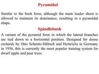 Pyramidal
Similar to the bush form, although the main leader shoot is
allowed to maintain its dominance, resulting in a pyramidal
shape.
Spindlebush
A variant of the pyramid form in which the lateral branches
are tied down to a horizontal position. Designed for dense
orchards by Otto Schmitz-Hübsch and Heinrichs in Germany
in 1936, this is currently the most popular training system for
dwarf apple and pear trees.
 