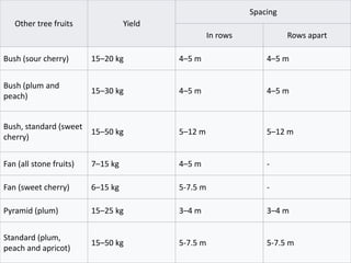 Other tree fruits Yield
Spacing
In rows Rows apart
Bush (sour cherry) 15–20 kg 4–5 m 4–5 m
Bush (plum and
peach)
15–30 kg 4–5 m 4–5 m
Bush, standard (sweet
cherry)
15–50 kg 5–12 m 5–12 m
Fan (all stone fruits) 7–15 kg 4–5 m -
Fan (sweet cherry) 6–15 kg 5-7.5 m -
Pyramid (plum) 15–25 kg 3–4 m 3–4 m
Standard (plum,
peach and apricot)
15–50 kg 5-7.5 m 5-7.5 m
 