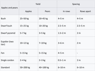 Apples and pears
Yield Spacing
Apples Pears In rows Rows apart
Bush 25–50 kg 20–45 kg 4–5 m 4–5 m
Dwarf bush 15–25 kg 10–20 kg 2.5–5 m 2.5–5 m
Dwarf pyramid 5–7 kg 3–5 kg 1.5–2 m 2 m
Espalier (two
tier)
10–12 kg 7–10 kg 3–6 m 2 m
Fan 5–15 kg 5–15 kg 4–5 m -
Single cordon 2–4 kg 2–3 kg 0.5–1 m 2 m
Standard 50–200 kg 40–100 kg 6–10 m 6–10 m
 