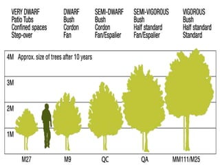 Canopy types | PPT