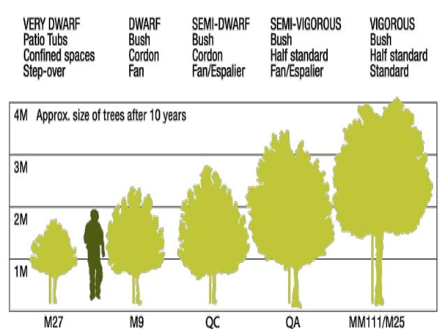 Canopy types