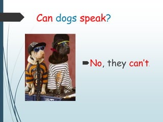Can dogs speak?
No, they can’t.
 
