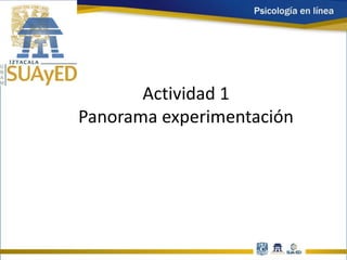 Actividad 1
Panorama experimentación
 