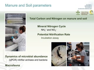 Can pasture type influence nitrous oxide emissions from cattle manure?