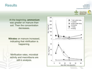 Can pasture type influence nitrous oxide emissions from cattle manure?