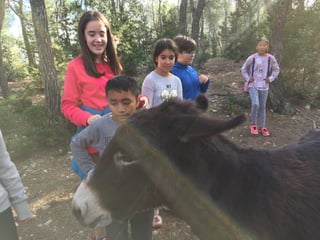 Visita a Can Pere Mosson