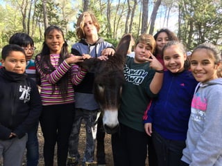 Visita a Can Pere Mosson