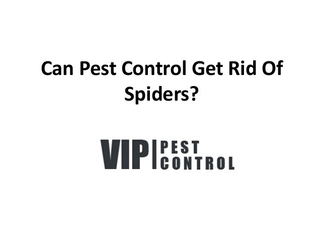 Can Pest Control Get Rid Of Spiders