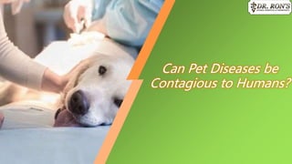 Can Pet Diseases be
Contagious to Humans?
 