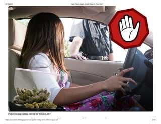 8/13/2020 Can Police Really Smell Weed In Your Car?
https://cannabis.net/blog/opinion/can-police-really-smell-weed-in-your-car 2/13
POLICE CAN SMELL WEED IN YOUR CAR?
li ll ll d
 