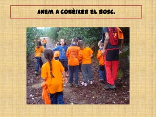 Anem a conèixer el bosc.
 