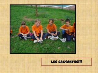 LES CASTANYES!!!
 