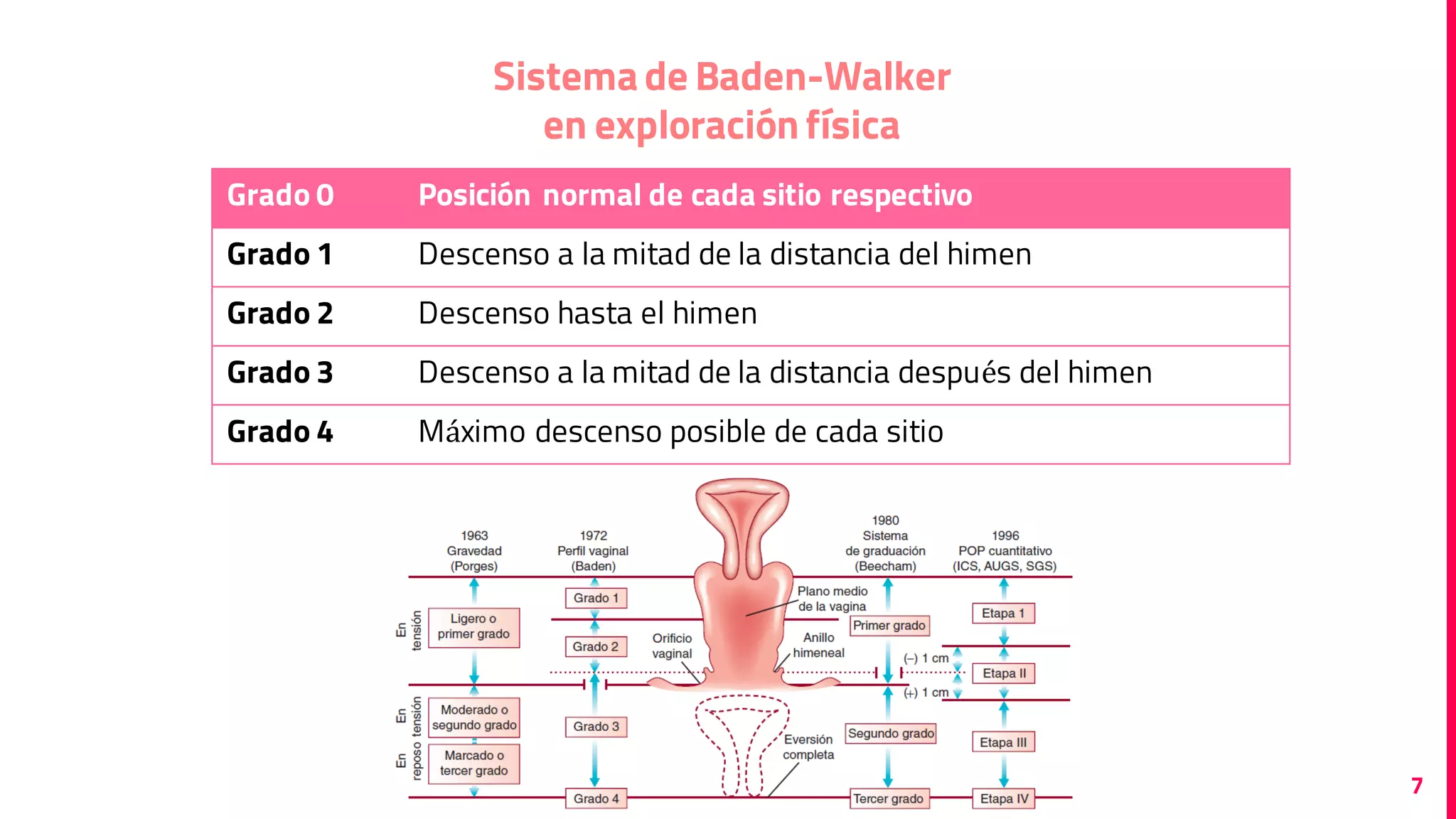 Prolapso de órganos pélvicos | PDF | Reproductive Health | Diseases and ...