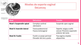 Prolapso de órganos pélvicos | PDF