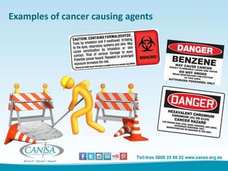 Examples of cancer causing agents
 