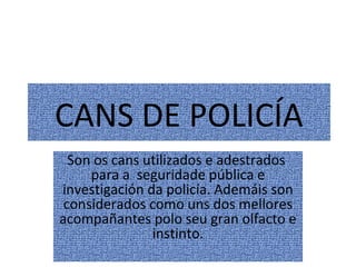 CANS DE POLICÍA
Son os cans utilizados e adestrados
para a seguridade pública e
investigación da policía. Ademáis son
considerados como uns dos mellores
acompañantes polo seu gran olfacto e
instinto.
 