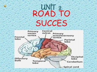 ROAD TO
SUCCES
Study skılls
UNlT 2
 