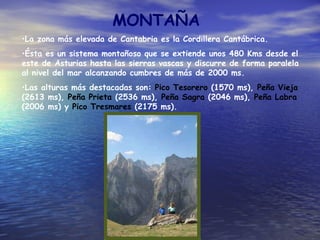 MONTAÑA La zona más elevada de Cantabria es la Cordillera Cantábrica. Ésta es un sistema montañoso que se extiende unos 480 Kms desde el este de Asturias hasta las sierras vascas y discurre de forma paralela al nivel del mar alcanzando cumbres de más de 2000 ms. Las alturas más destacadas son:  Pico Tesorero  (1570 ms),  Peña Vieja  (2613 ms),  Peña   Prieta  (2536 ms),  Peña Sagra  (2046 ms),  Peña Labra  (2006 ms) y  Pico Tresmares  (2175 ms). 