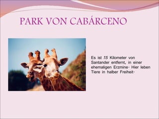 PARK VON CABÁRCENO  Es ist 15 Kilometer von Santander entfernt, in einer ehemaligen Erzmine. Hier leben Tiere in halber Freiheit.  