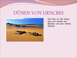 DÜNEN VON LIENCRES Der Park ist 195 Hektar gro β  und besteht aus Büchten und zwei schöne Strände. 