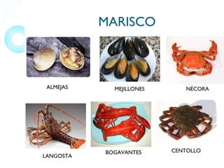 MARISCO ALMEJAS MEJILLONES NÉCORA LANGOSTA BOGAVANTES CENTOLLO