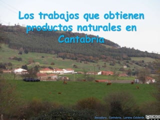 Los trabajos que obtienen
productos naturales en
Cantabria
Secadura, Cantabria. Lorena Calderón