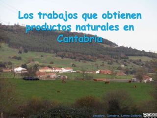 Los trabajos que obtienen
productos naturales en
Cantabria
Secadura, Cantabria. Lorena Calderón
 