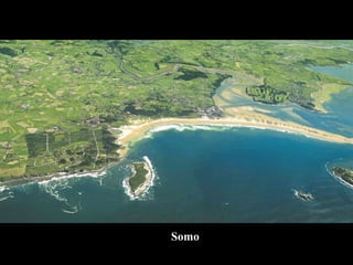 Somo 