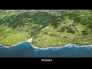 Ruiloba 
