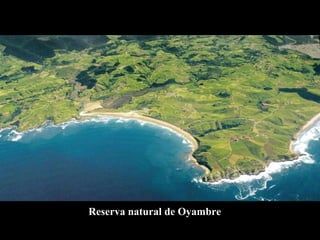 Reserva natural de Oyambre 