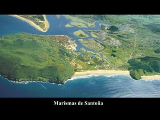 Marismas de Santoña