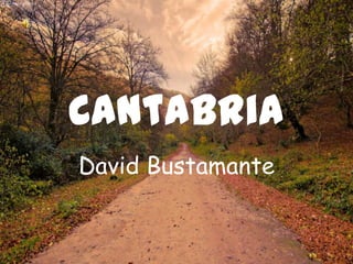 Cantabria
David Bustamante

 