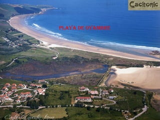 Playa de oyambre 