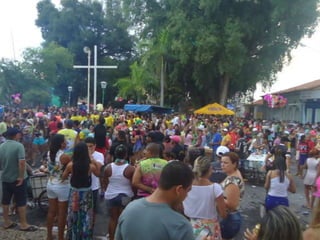 Cantafolia