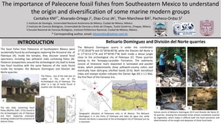 The importance of Paleocene fossil fishes from Southeastern Mexico to understand
the origin and diversification of some marine modern groups
Cantalice KM1*, Alvarado-Ortega J1, Diaz-Cruz JA1, Than-Marchese BA2, Pacheco-Ordaz S3
1 Instituto de Geología, Universidad Nacional Autónoma de México, Ciudad de México, México
2 Instituto de Ciencias Biológicas, Universidad de Ciencias y Artes de Chiapas, Tuxtla Gutiérrez, Chiapas, México
3 Escuela Nacional de Ciencias Biológicas, Instituto Politécnico Nacional, Ciudad de México, México
INTRODUCTION Belisario Domínguez and División del Norte quarries
The fossil fishes from Paleocene of Southeastern Mexico were
accidentally found by archeologists exploring the Ancestral site of
Palenque (A). Inside the temples, they discover several fossil
specimens, including two yellowish slabs containing fishes (B).
Posterior prospections around the archeological city lead to know
two fossil localities with the same features of the rocks found
inside the temples: the Belisario Domínguez and División del
Norte quarries.
The Palace, one of the slab was on
rubble in this site of the
Archeological city of Palenque. The
other is a tap of tomb found in
another site: the Bat group.
The two slabs containing fossil
fishes (MUPAL 2587, 2731) found in
the Archaeological city of Palenque
and their respective schematic
drawings evidenced the presence of
distinct fishes.
* Corresponding author, email: kleytonbio@yahoo.com.br
The Belisario Domínguez quarry is under the coordinates
17°25'28.60"N and 91°58'46.80"W, while the División del Norte is
in 17°16'12.17"N and 97°40'40.7"W, both inside a dense jungle
close to the archeological city of Palenque (C). These quarries
belong to the Tenejapa-Lacandón Formation. The sediments
consist of limestone marls deposited in laminated and parallel
strata, which predominantly show yellowish-creamy colors and
eventually have dark-grey silicified bands (D-G). Both microfossil
index and isotope studies indicates the Danian Age (63 ± 1.5 Ma),
the first floor of the Cenozoic Era.
Extract points of Belisario Domínguez (D-F) and División del Norte (E-
G) quarries, showing the laminated strata almost completely covered
by vegetation, which makes it difficult both the fossil extraction and
determination of the length and deepness of these fossil beds.
Geographic ubication of Paleocene sites in SE Mexico. The Belisario
Domínguez is in the limits of Palenque and Salto de Agua city; while
División del Norte is separated of the archeological city of Palenque just by
a mountain.
A
B
C
D E
F G
 