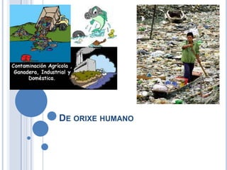De orixe humano