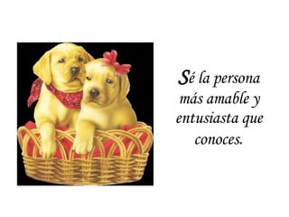S é la persona más amable y entusiasta que conoces . 
