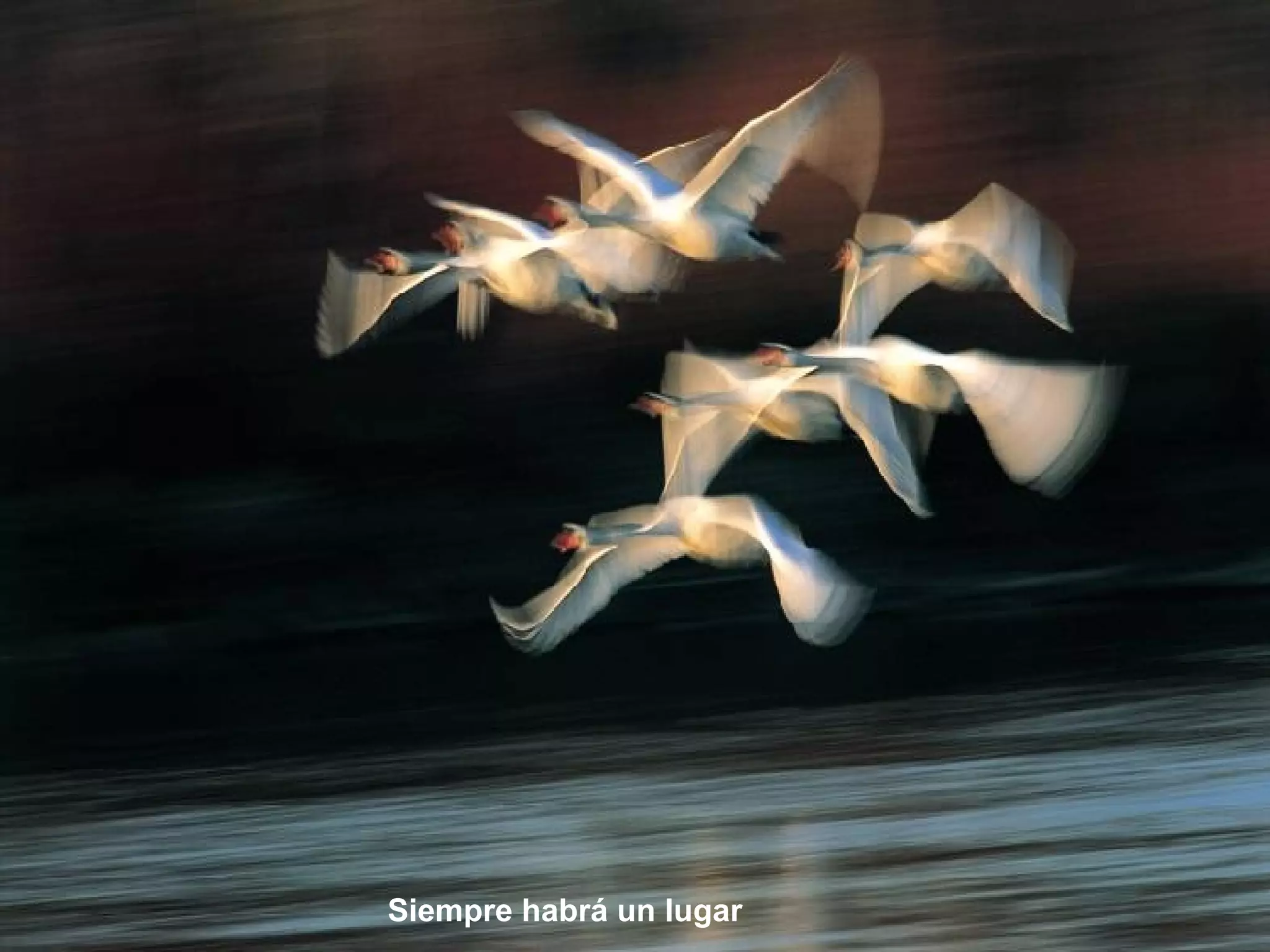 Siempre habrá un lugar 