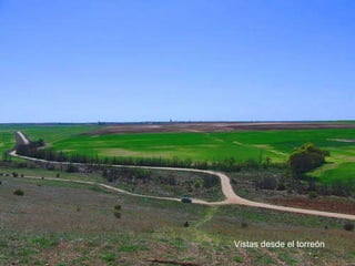 Vistas desde el torreón 