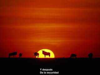 Y después
De la oscuridad
 