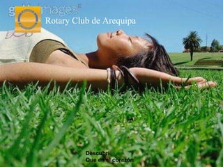 Descubrí Que en el corazón Rotary Club de Arequipa 