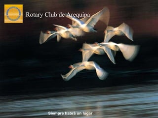 Siempre habrá un lugar Rotary Club de Arequipa 