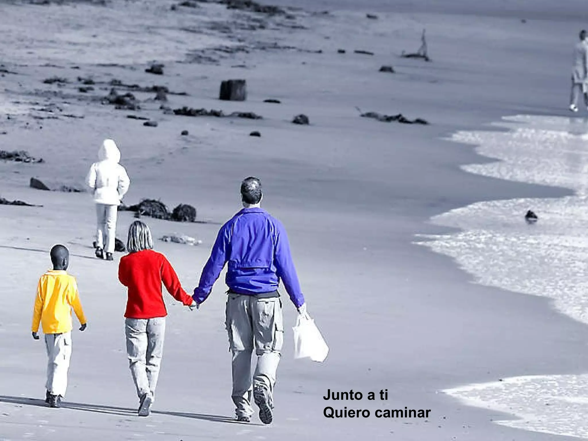 Junto a ti Quiero caminar Junto a ti Quiero caminar 