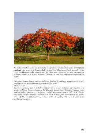 153 
Na Índia, o sândalo é uma árvore sagrada, e o governo a tem declarado como propriedade nacional para preservá-la da depredação ao qual tem sido exposta. Só é permitido o seu corte quando o exemplar possuir mais de trinta anos, momento em que naturalmente começa a morrer. Um tronco do sândalo demora 25 anos para adquirir uma espessura de 6 cm. 
Salomão realizava obras grandiosas, incluindo fortificações, cidades, aquedutos (inferência) e utilizava-se de trabalhadores forçados em todo o reino. 
I Reis 9:20-22 
Salomão convocou para o trabalho forçado todos os não israelitas, descendentes dos amorreus, hititas, ferezeus, heveus e dos jebuzeus, sobreviventes de guerra e presos pelos israelitas, cujos descendentes continuam a trabalhar como escravos até hoje. Mas Salomão não impôs trabalho forçado a nenhum dos filhos de Israel; eles eram homens de guerra, seus capitães, os comandantes dos seus carros de guerra, oficiais, escudeiros e os condutores de carros.  