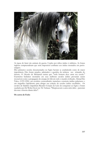 237 
As éguas de faraó são animais de guerra. Usados por tribos árabes à milênios. As forças inglesas compreenderam que seria impossível combater aos árabes montados em puros- sangues. 
Dos primeiros cavalos documentados no Egito haviam se estabelecido como de maior importância. Eles foram amados, admirados e queridos da nobreza aos nômades do deserto. O Alcorão de Mohamed ensina que: "todo homem deve amar seu cavalo." Guerreiros beduínos montados em seus melhores cavalos árabes provaram serem invencíveis como a propagação de energia do Islã em todo o mundo civilizado. Ahmad Ibn Tuleu, (1193-1250), um cavaleiro extraordinário mameluco construíu jardins palacianos e um magnífico hipódromo para abrigar sua coleção de cavalos árabes escolhidos. Os cavalos de Saladino impediram Ricardo Coração de Leão de conquistar ao Egito e foram saudados por Sir Walter Scott em The Talisman. "Desprezavam a areia atrás deles - pareciam devorar o deserto diante deles". 
Os carros de Farão 
 