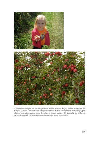 278 
A Sunamita distingue seu amado, pela sua beleza, pela sua doçura, dentre as árvores do bosque. A maçã é um fruto que era iguaria da mesa de reis. Era apreciada por crianças, por adultos, por adolescentes, gente de todas as classes sociais. E apreciada por todas as nações. Importada ou cultivada, se distinguia pelas flores, pelo cheiro. 
 