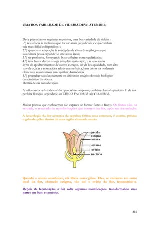 315 
UMA BOA VARIEDADE DE VIDEIRA DEVE ATENDER 
Deve preencher os seguintes requisitos, uma boa variedade de videira : 
l.°) resistência às moléstias que lhe são mais prejudiciais, e cujo combate 
seja mais difícil e dispendioso ; 
2.°) apresentar adaptação às condições de clima da região, para que 
sua cultura possa expandir-se em vastas áreas; 
3.°) ser produtiva, fornecendo boas colheitas com regularidade; 
4.°) seus frutos devem atingir completa maturação, e se apresentar 
livres de apodrecimento e de outros estragos, ser de boa qualidade, com alto 
teor de açúcar e com acidez relativamente baixa, bem como ter os demais 
elementos constitutivos em equilíbrio harmônico ; 
5.°) preencher satisfatoriamente os diferentes estágios do ciclo biológico 
característico da videira. 
Dentro destas considerações 
A inflorescência da videira é do tipo cacho composto, também chamada panícula. E de sua perfeita floração dependerão os CINCO FATORES ANTERIORES. 
Muitas plantas que conhecemos são capazes de formar flores e frutos. Os frutos são, na verdade, o resultado de transformações que ocorrem na flor, após sua fecundação. A fecundação da flor acontece da seguinte forma: uma estrutura, o estame, produz o grão-de-pólen dentro de uma região chamada antera. 
Quando a antera amadurece, ela libera esses grãos. Eles, se entrarem em outro local da flor, chamado estigma, vão até o ovário da flor, fecundando-o. Depois da fecundação, a flor sofre algumas modificações, transformando suas partes em fruto e semente.  