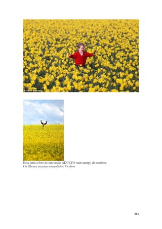 381 
Essa seria a foto de um veado ADULTO num campo de narcisos. 
Os filhotes estariam escondidos. Ocultos 
 